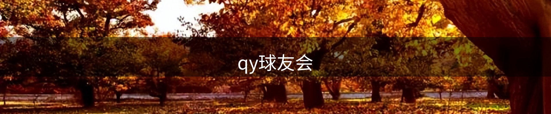 qy球友会